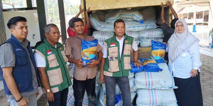 Pemerintah Pusat Bantu Benih Padi untuk Petani di Bireuen