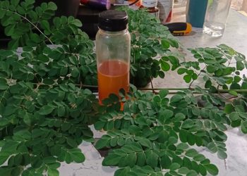 Mau Perkasa di Ranjang, Minum Rebusan Daun Ini Campur Madu