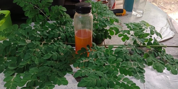 Mau Perkasa di Ranjang, Minum Rebusan Daun Ini Campur Madu