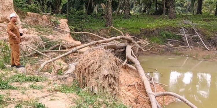 Camat Julok Tinjau Abrasi Tanggul DAS Arakundo