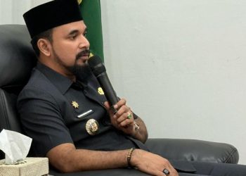 Bupati Al- Farlaky Minta BWS  Percepat Perbaikan Jaringan Irigasi Pante Bidari