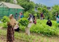 Program P3L Medco E&P Malaka Tingkatkan Ketahanan Ekonomi Warga