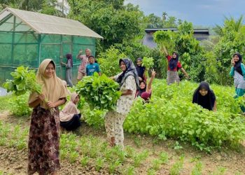 Program P3L Medco E&P Malaka Tingkatkan Ketahanan Ekonomi Warga
