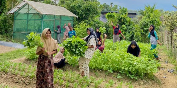 Program P3L Medco E&P Malaka Tingkatkan Ketahanan Ekonomi Warga