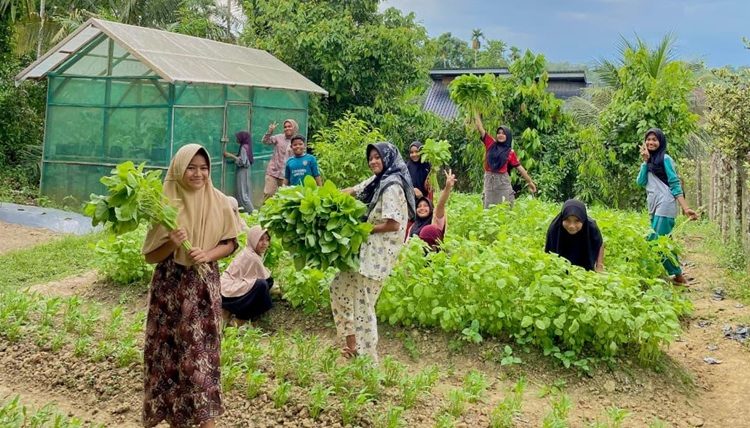 Program P3L Medco E&P Malaka Tingkatkan Ketahanan Ekonomi Warga