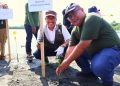 Peduli Lingkungan, Medco E&P dan BPMA Tanam 1.000 Mangrove di Banda Aceh