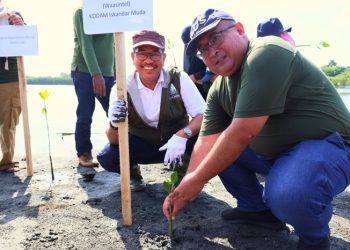 Peduli Lingkungan, Medco E&P dan BPMA Tanam 1.000 Mangrove di Banda Aceh