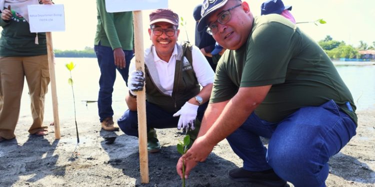 Peduli Lingkungan, Medco E&P dan BPMA Tanam 1.000 Mangrove di Banda Aceh