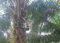 Kebun Julok Rayeuk Selatan Terapkan CCTV Dual Lens Berbasis Panel Surya